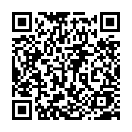 QR code for 296ZOE