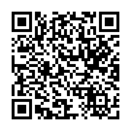 QR code for 299ILV