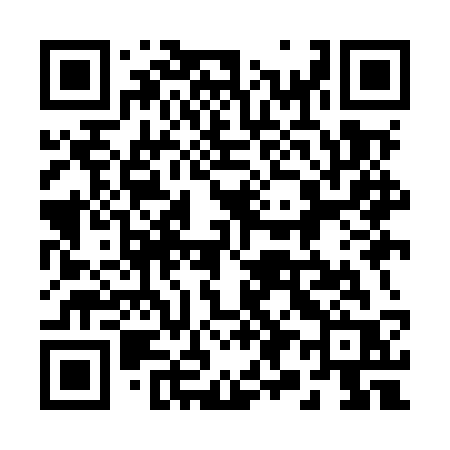 QR code for 299MSR