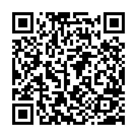QR code for 299QLZ