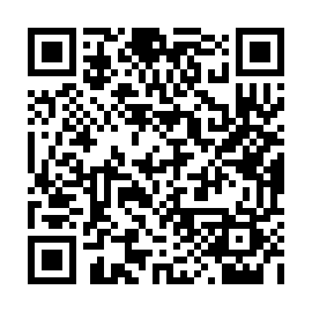 QR code for 299SGS