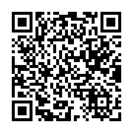 QR code for 299STM