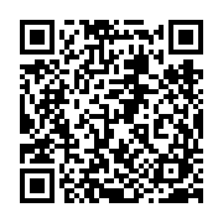QR code for 299VDM