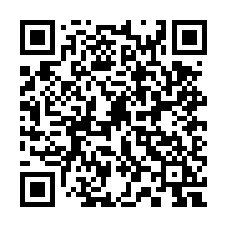 QR code for 300DXI
