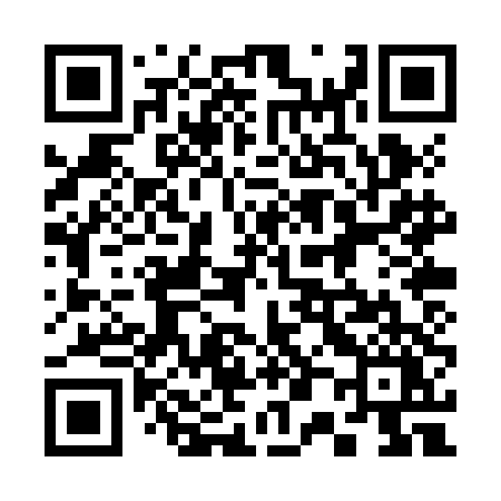 QR code for 300ZDY