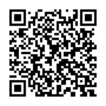 QR code for 302MPP