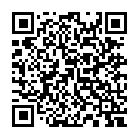 QR code for 303DMI