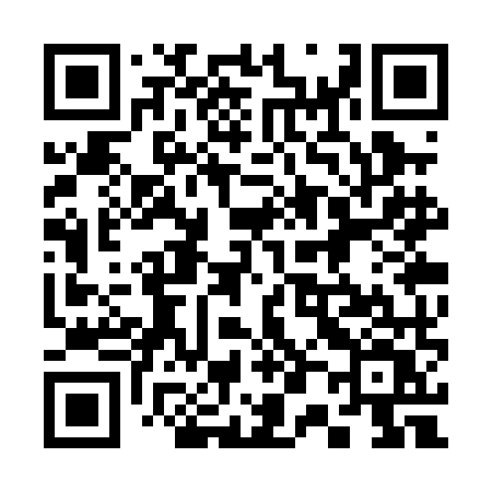 QR code for 303PMV