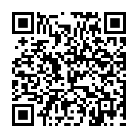 QR code for 306QIQ