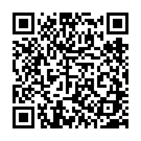 QR code for 307FLI