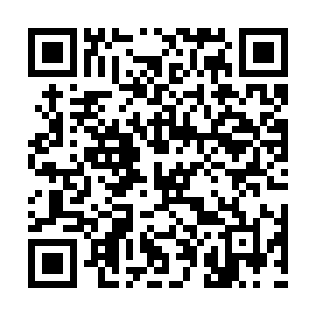QR code for 308SYL