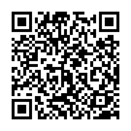 QR code for 310WSP
