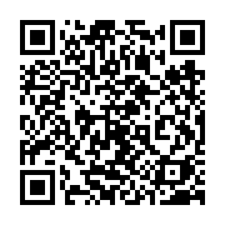 QR code for 311FSI