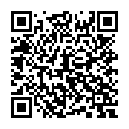 QR code for 311NTW