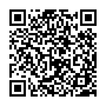 QR code for 311POC