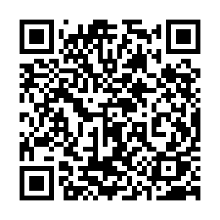 QR code for 311QAP