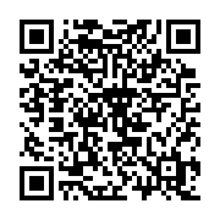 QR code for 311SRL