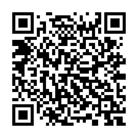QR code for 311VIL