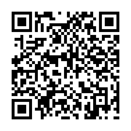 QR code for 311WTO