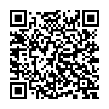 QR code for 311ZJC