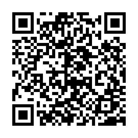 QR code for 313AOR