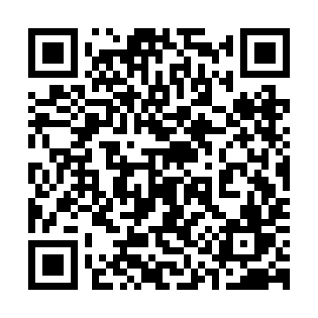 QR code for 313BIV