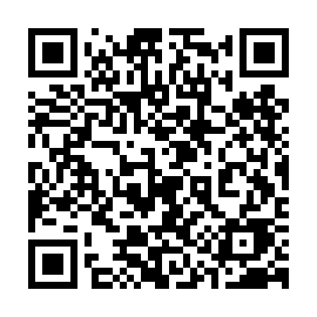 QR code for 313DCE