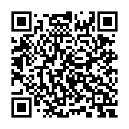 QR code for 313DDT