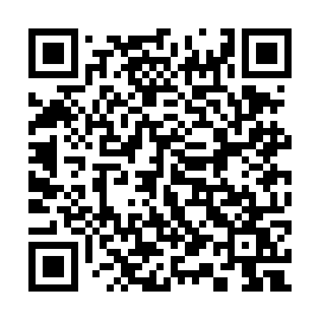 QR code for 313DOW