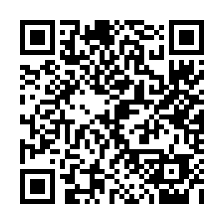 QR code for 313FID