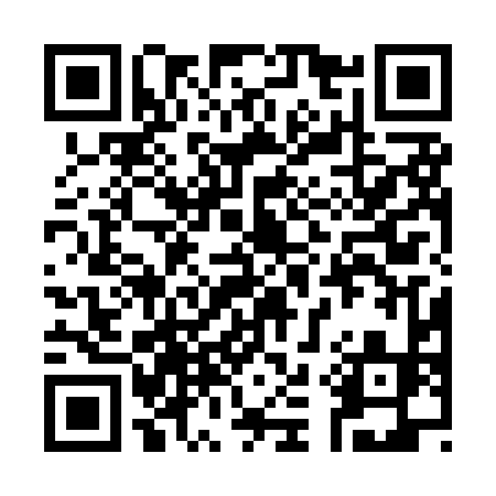 QR code for 313HLC