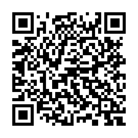 QR code for 313HZA