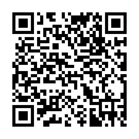 QR code for 313IFP