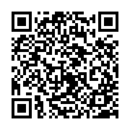 QR code for 313IMW