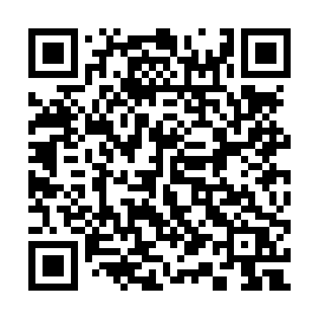 QR code for 313LPR