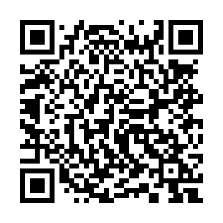 QR code for 313LWG