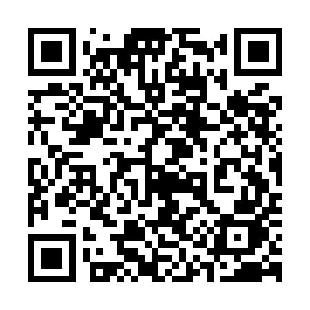 QR code for 313MEJ