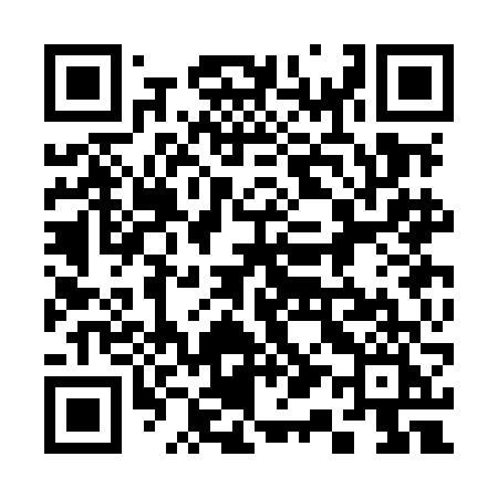 QR code for 313MFI