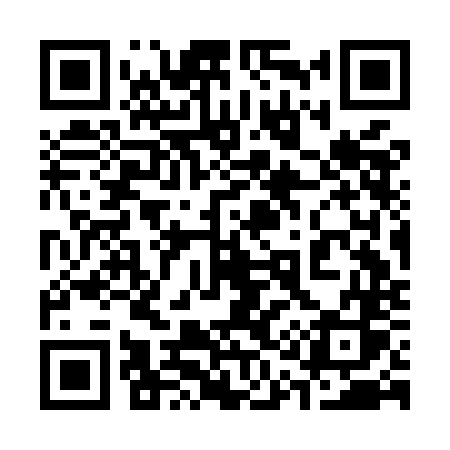 QR code for 313MNS
