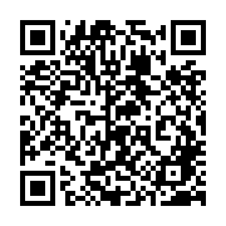 QR code for 313OLG