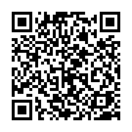 QR code for 313OSA