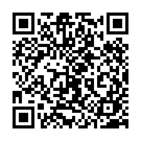 QR code for 313PEL