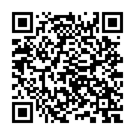 QR code for 313PTO