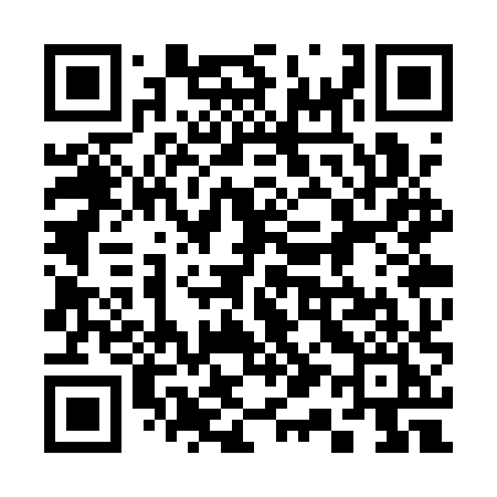 QR code for 313QXI