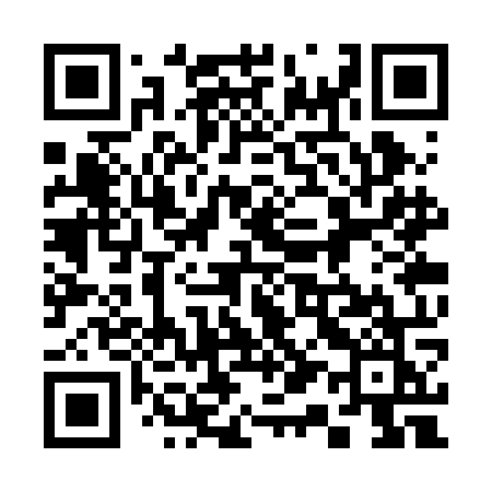QR code for 313ROK