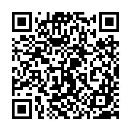 QR code for 313RTL