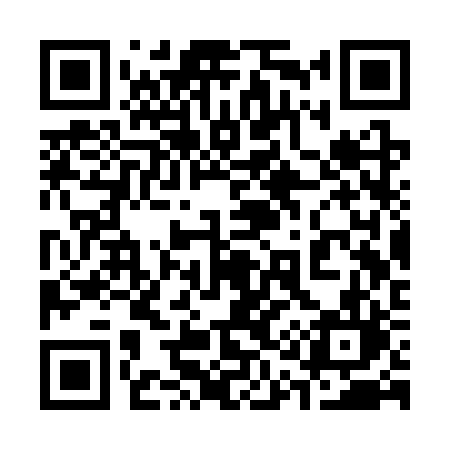 QR code for 313SRL