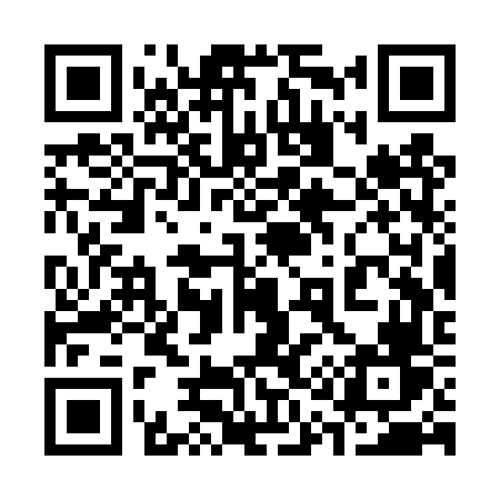 QR code for 313TVV