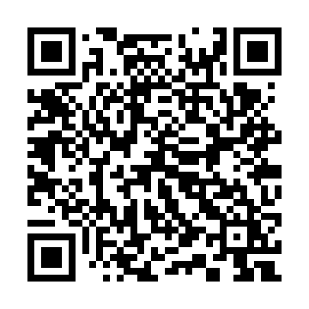 QR code for 313VZZ