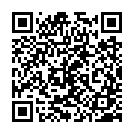 QR code for 313WTS